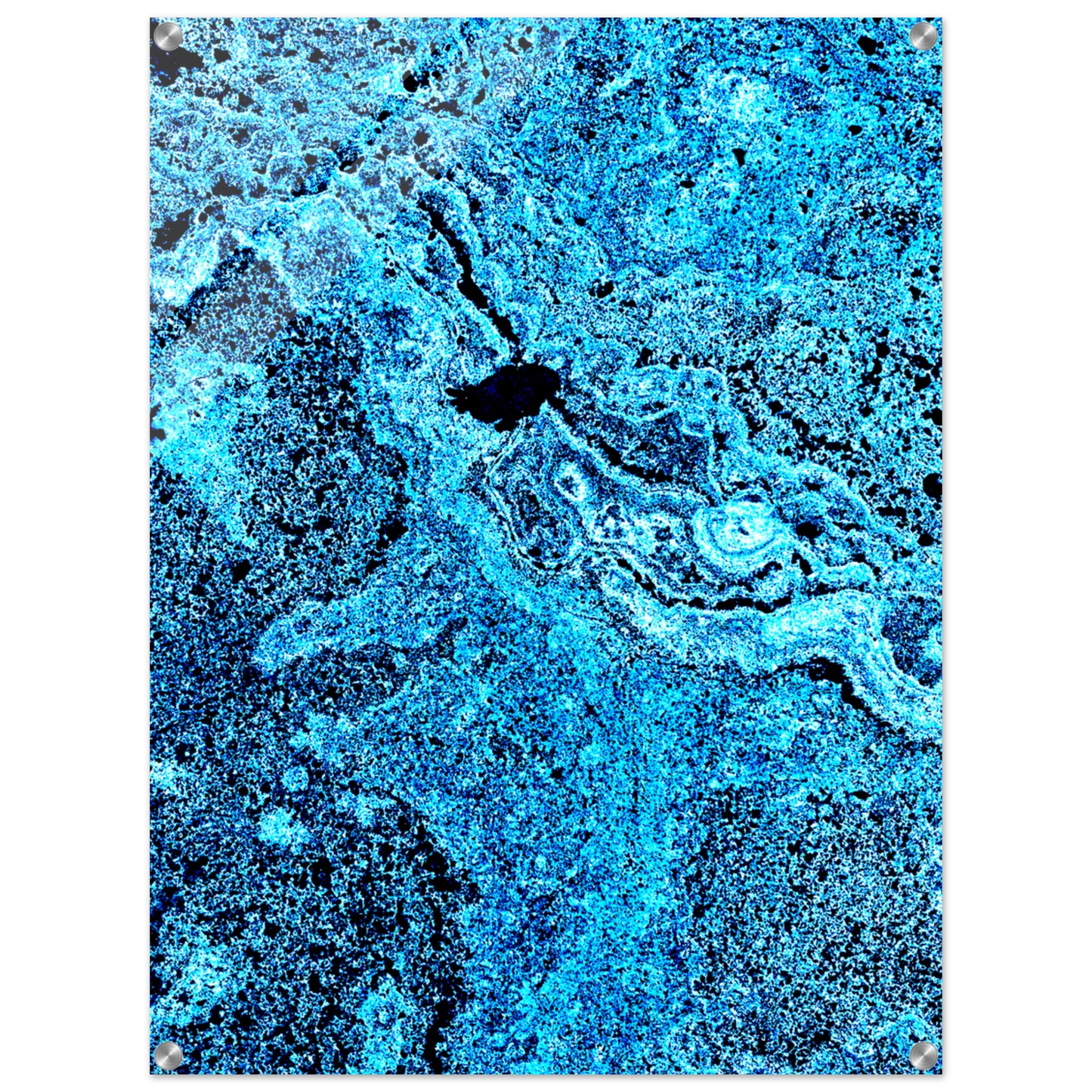 56709899-9726-4fb4-80a2-5c8e19d6c31f