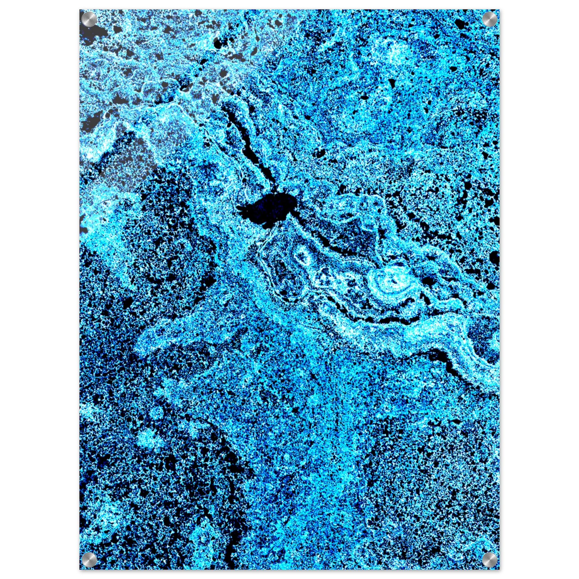 56709899-9726-4fb4-80a2-5c8e19d6c31f