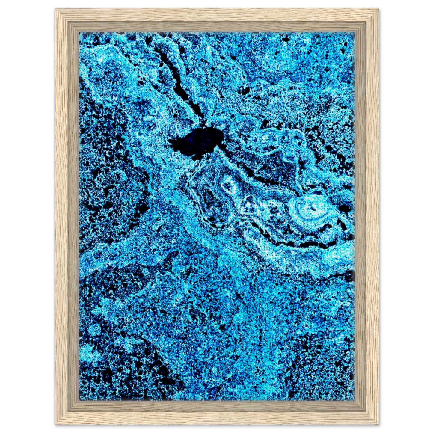 5de218d3-ffd9-4079-848b-064b79d84d5c