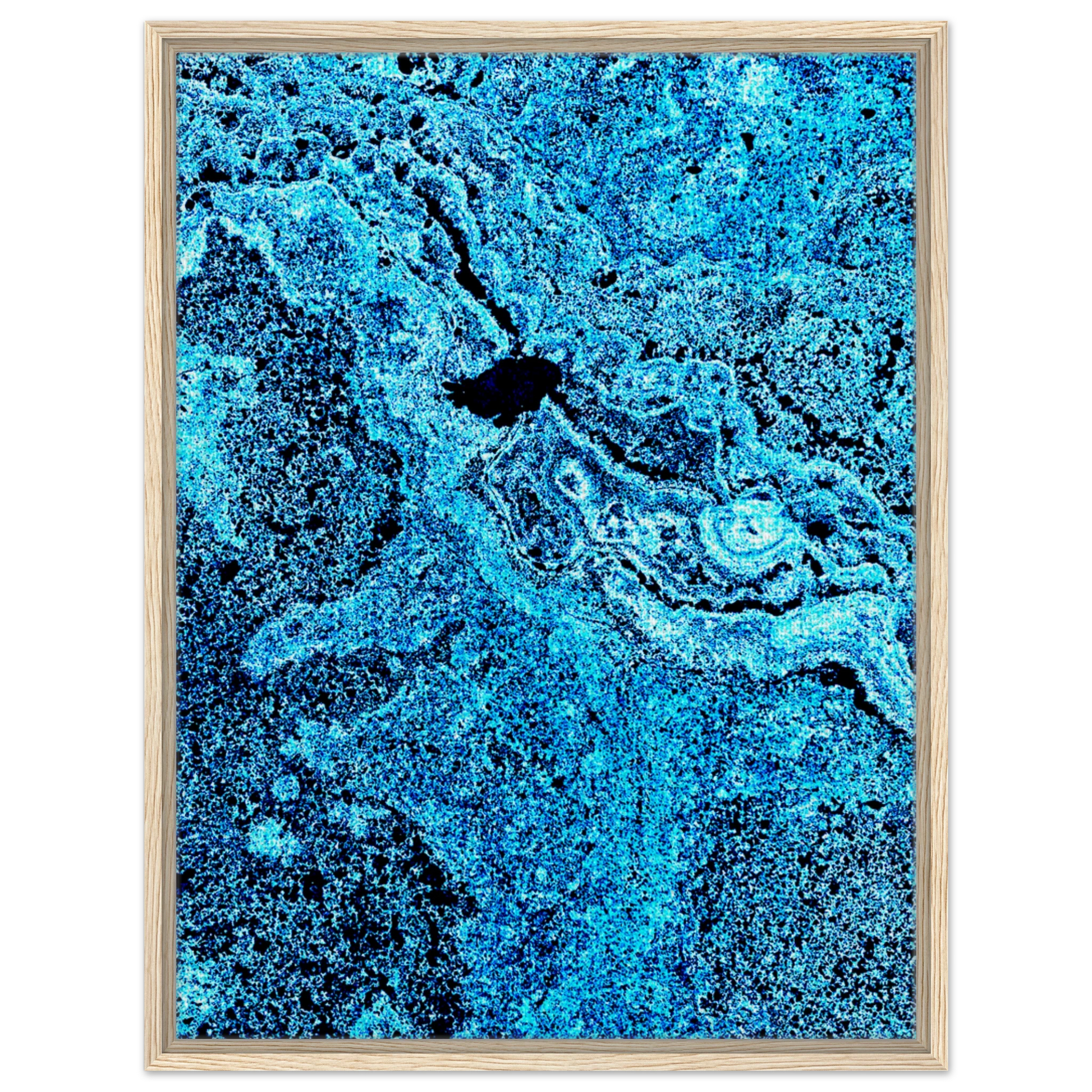 75ee95fd-c1d3-4fa1-8579-0ea317b5c2cd