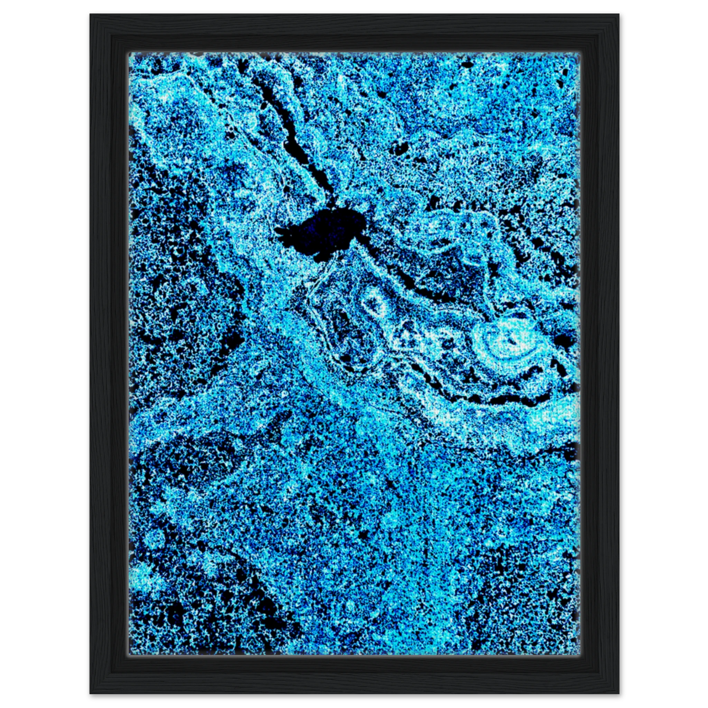 7f760209-1f65-43e3-89fb-ca11fecce653