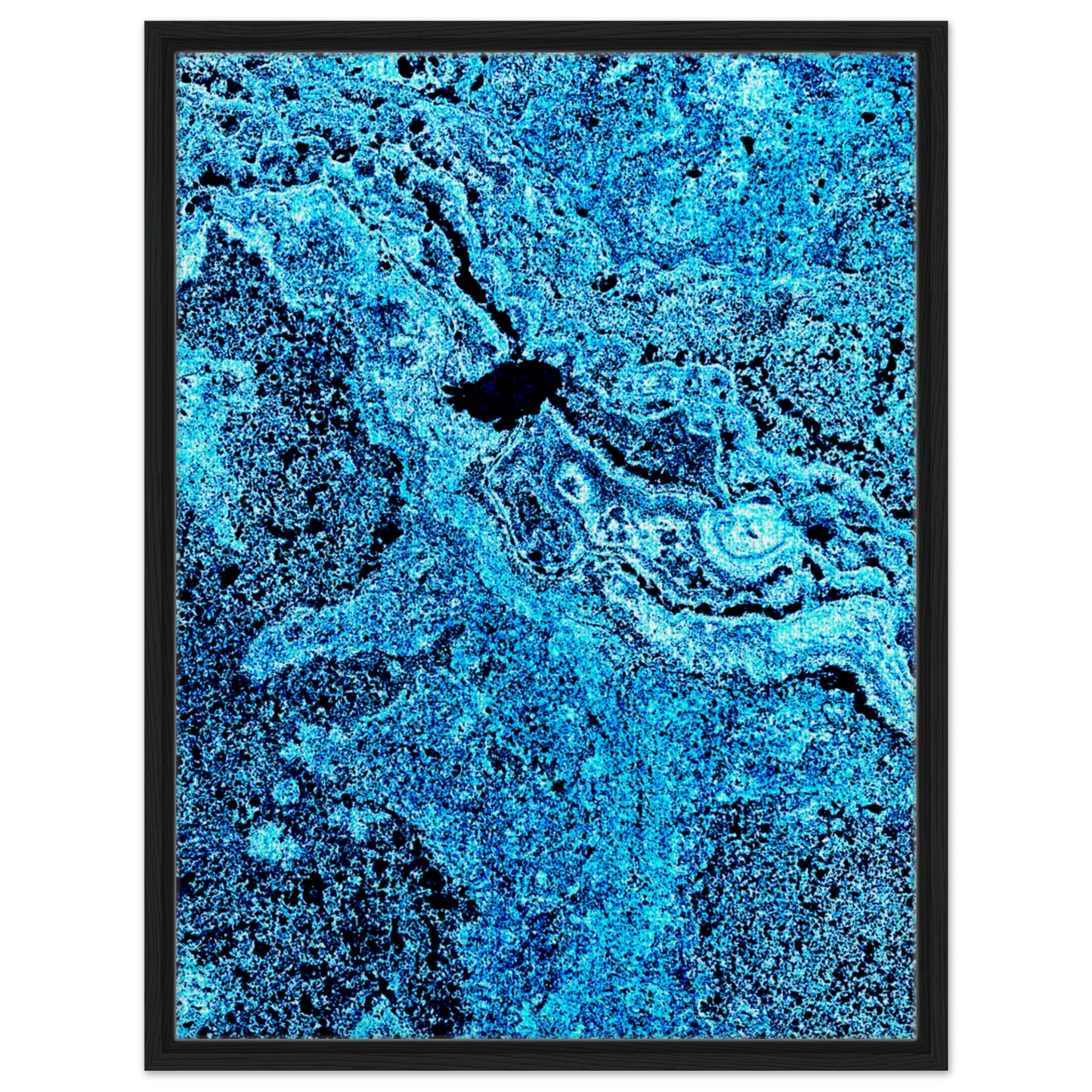 d75d8b9a-74bd-4737-8fed-54bbd7b3e7f4